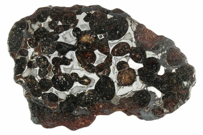 Sericho Pallasite Meteorite ( g) Slice - Kenya #346467